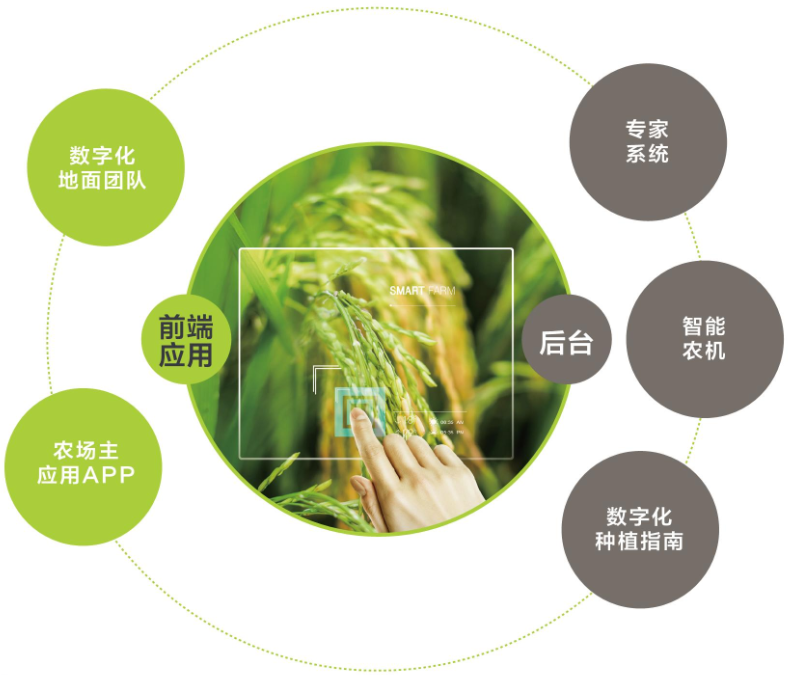 技(jì )术體(tǐ)系